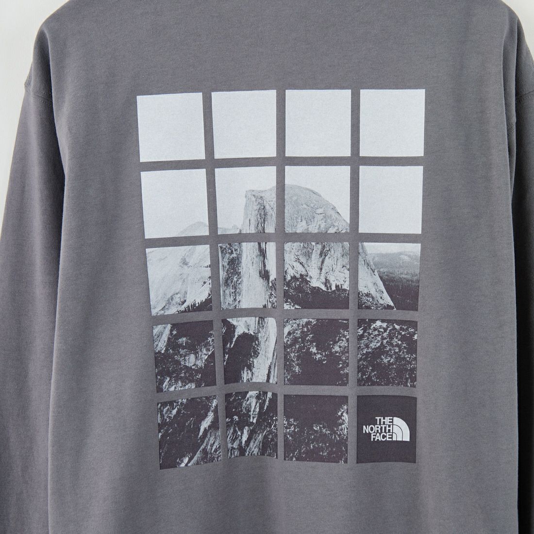 THE NORTH FACE [ザ ノースフェイス] ロングスリーブ ハーフドームウィンドウTシャツ [NT82546] SP