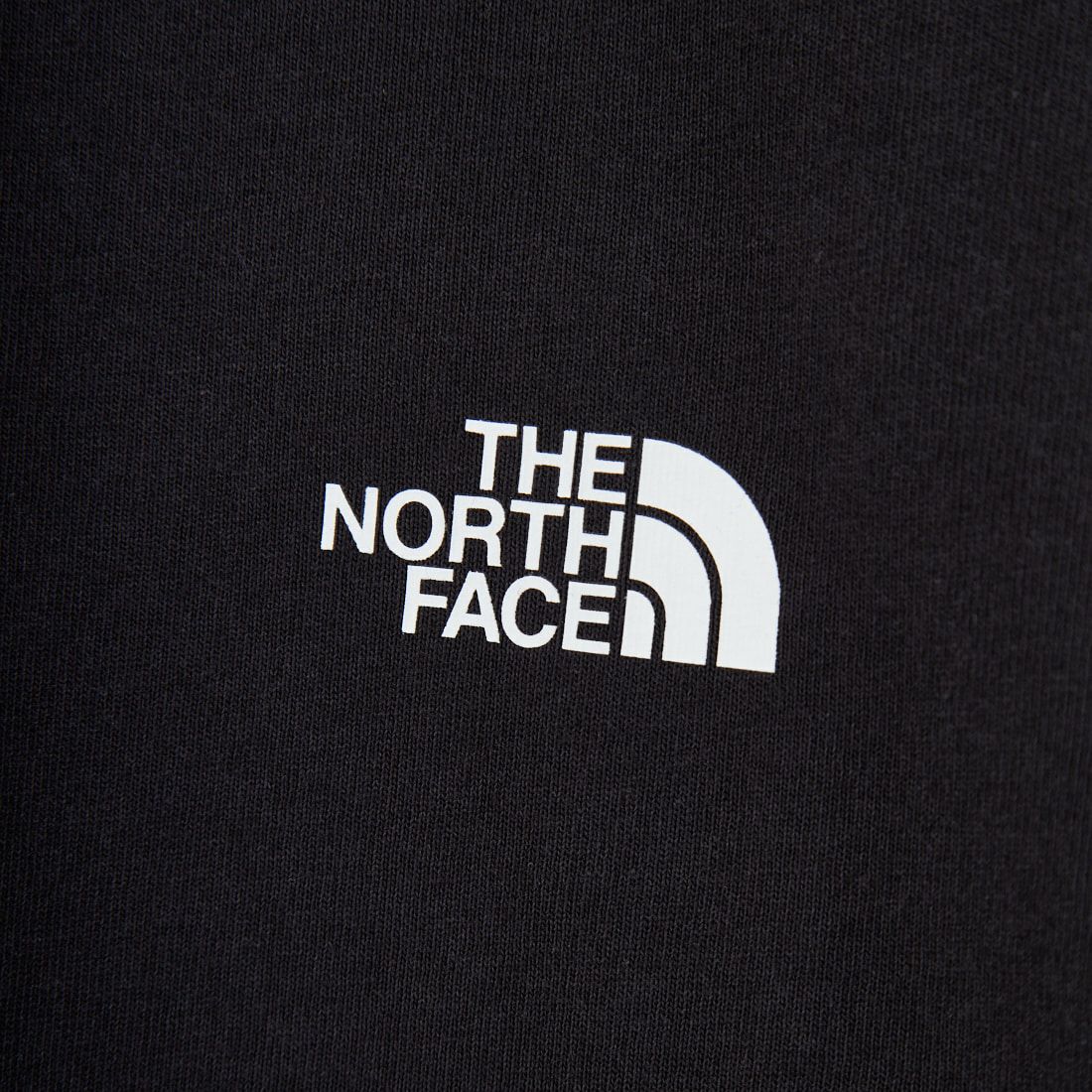THE NORTH FACE [ザ ノースフェイス] ロングスリーブ スクエアデジタルグラフィックTシャツ [NT82545] K