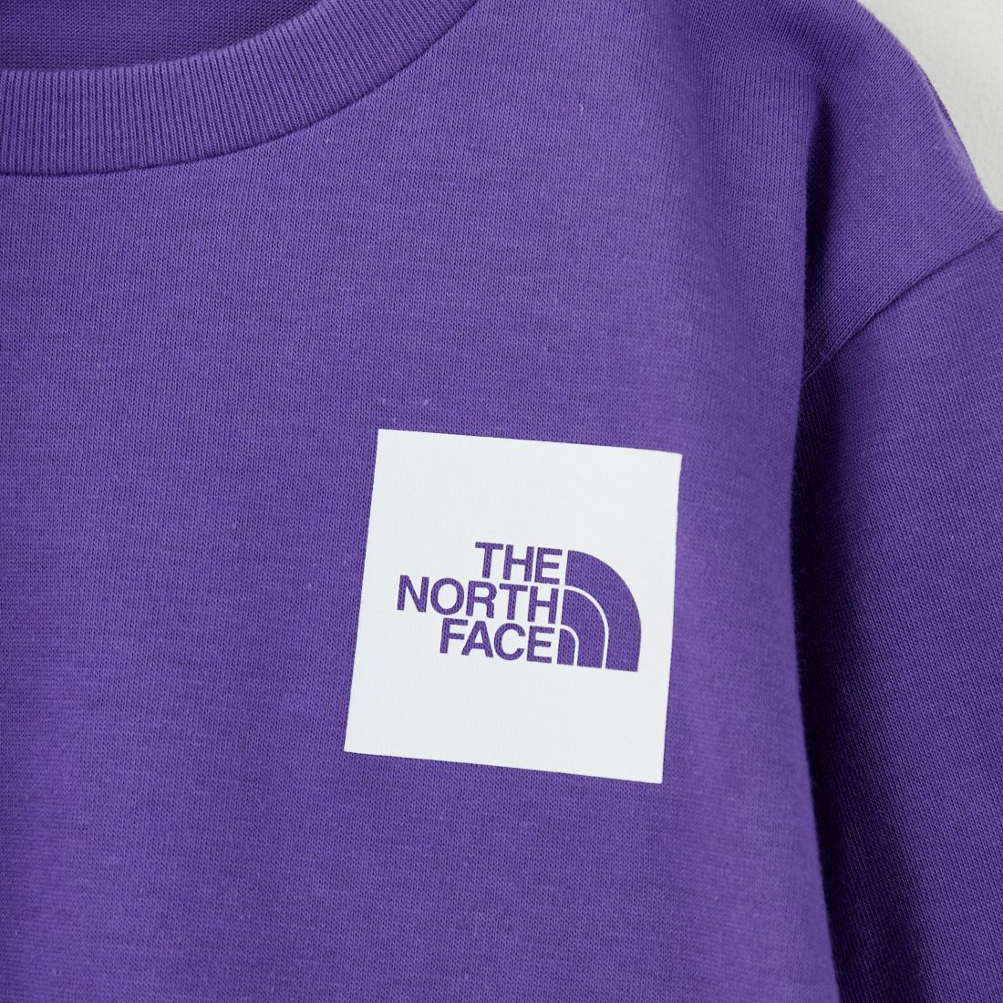 THE NORTH FACE [ザ ノースフェイス] トドラー ロングスリーブスモールスクエアロゴTシャツ [NTT32531] TP