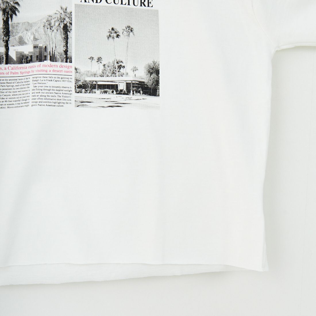 SCREEN STARS [スクリーンスターズ] フォトプリントTシャツ [2522-SSIN2] A WHITE