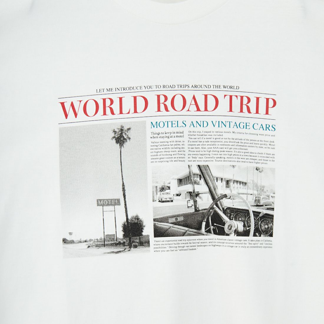SCREEN STARS [スクリーンスターズ] フォトプリントTシャツ [2522-SSIN2] B WHITE