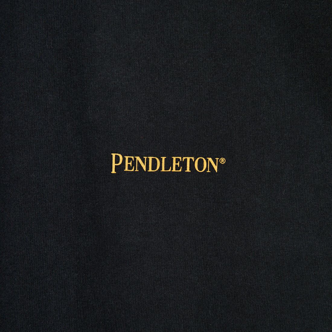 PENDLETON [ペンドルトン] バックプリント ロングスリーブTシャツ [5475-1015] 49 BLACK H