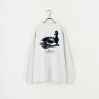91 MALLARD