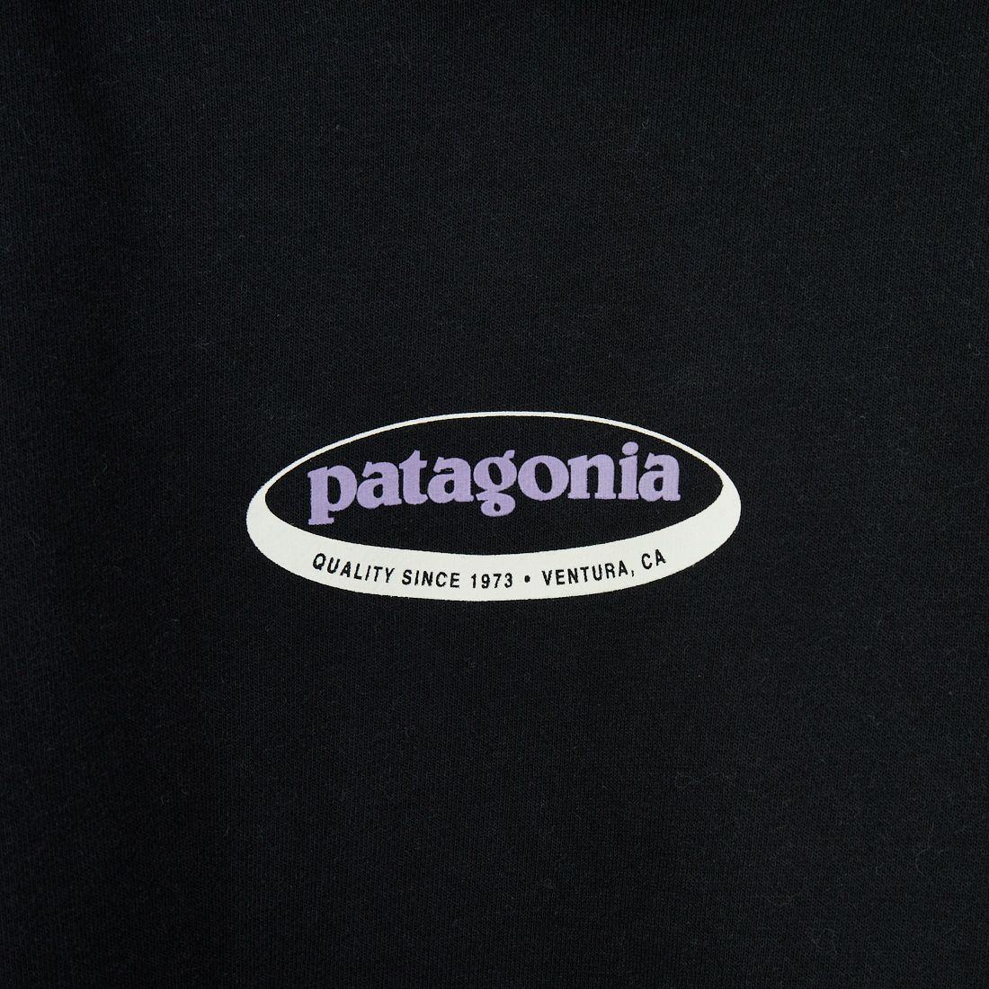 patagonia [パタゴニア] ロング ウェイ ラウンド アップライザル フーディ [39719] BLK