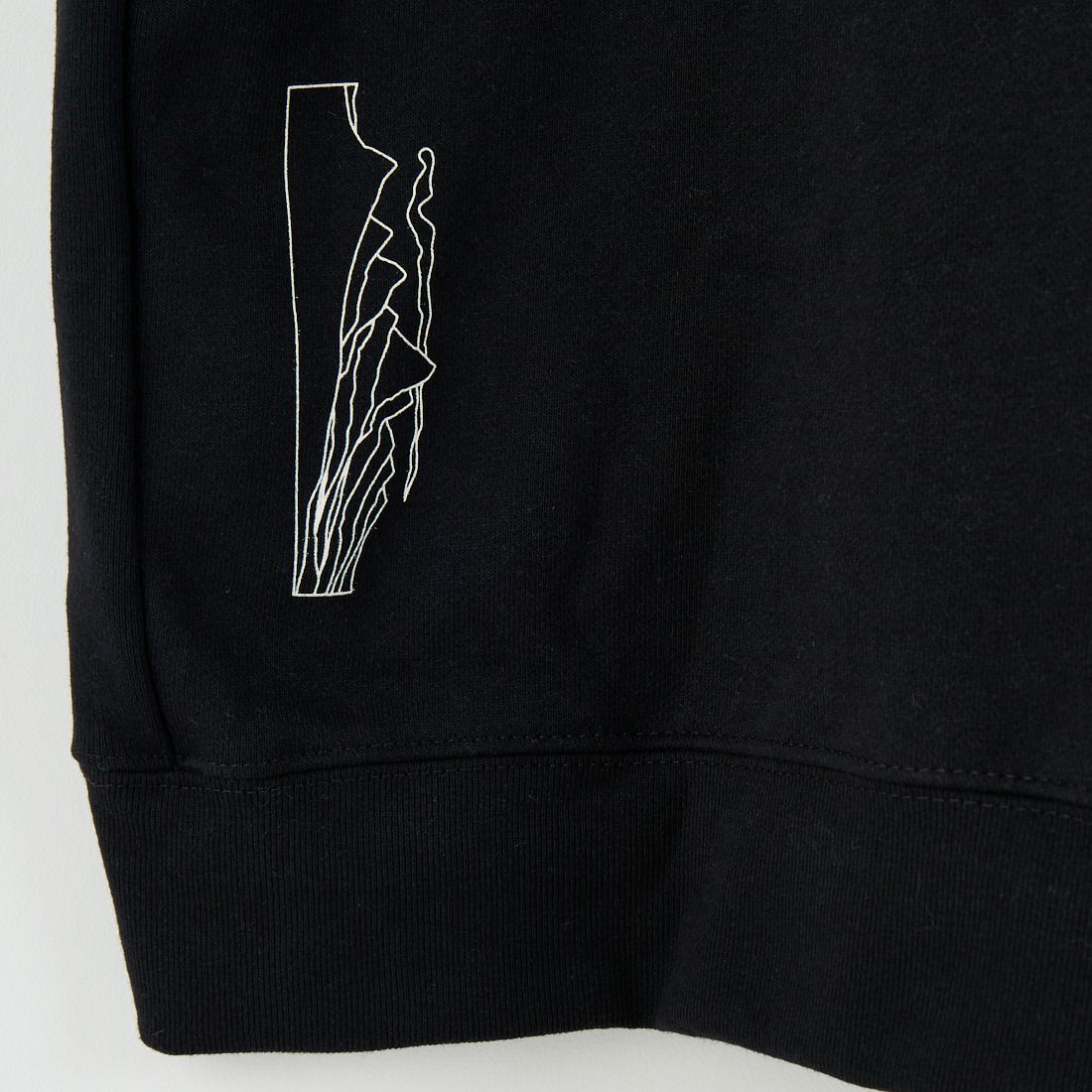 patagonia [パタゴニア] ロング ウェイ ラウンド アップライザル フーディ [39719] BLK