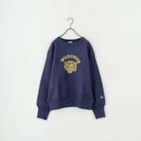 386 ﾀﾞｰｸﾈｲ