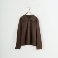 45 D.BROWN