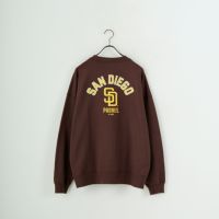 BROWN SD
