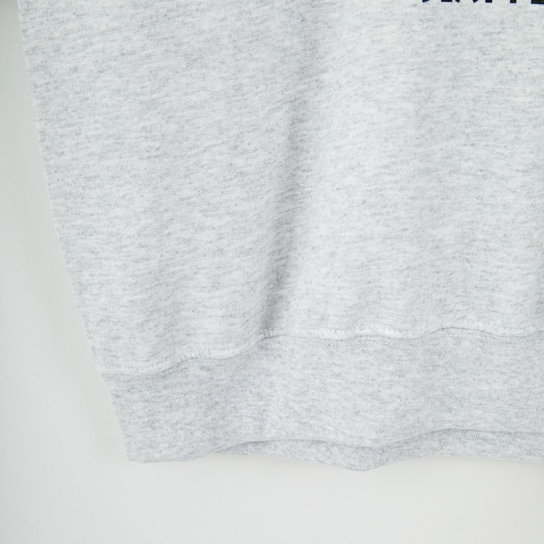 KAVU [カブー] 22ドッグスウェット [19822336] ASH