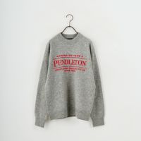 19 ASH GRY