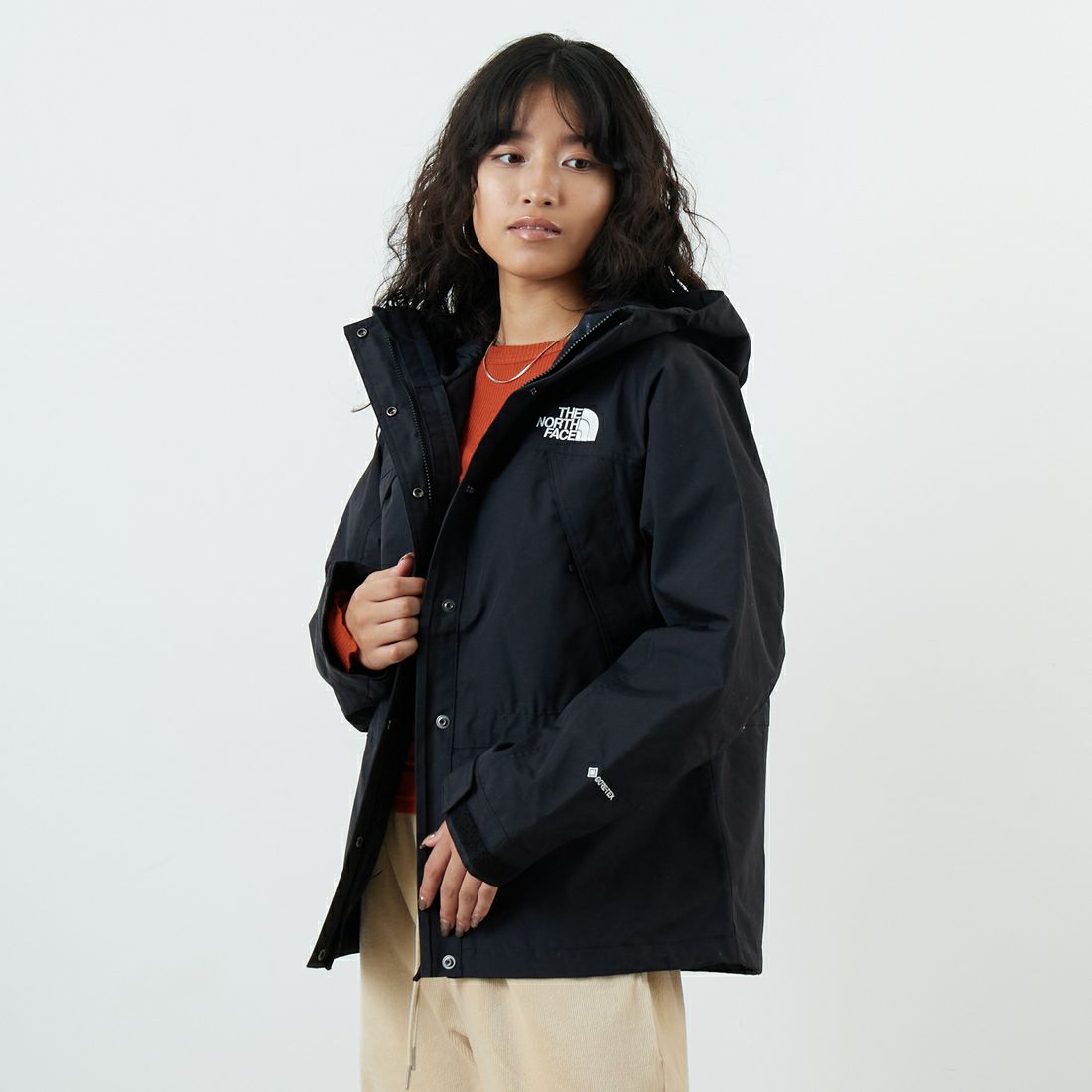 THE NORTH FACE [ザ ノースフェイス] マウンテンライトジャケット