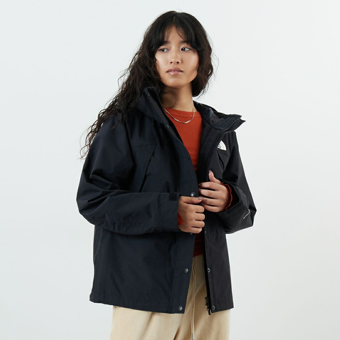 THE NORTH FACE [ザ ノースフェイス] マウンテンライトジャケット [NPW62550] K