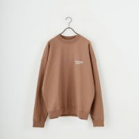 31 BROWN