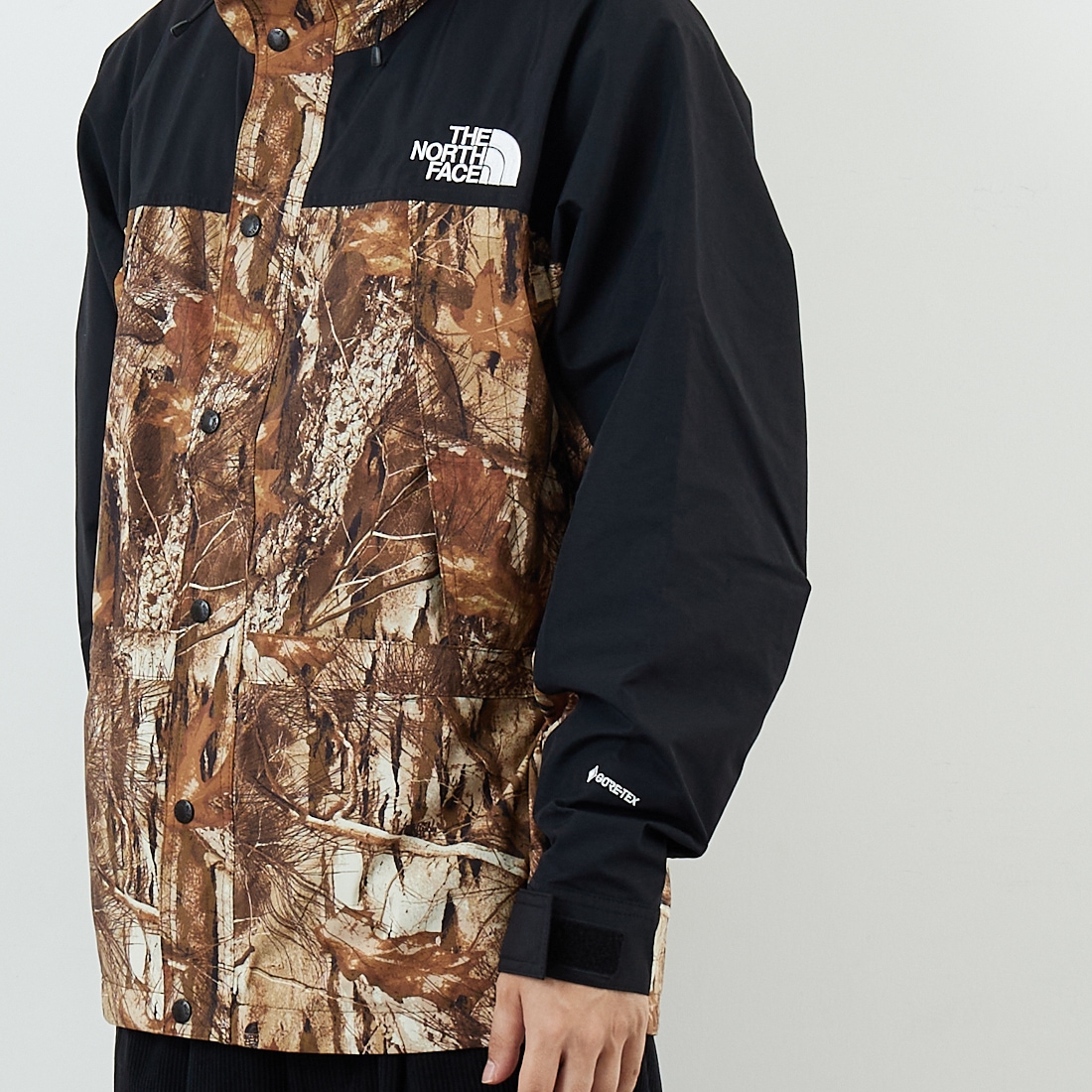 THE NORTH FACE [ザ ノースフェイス] ノベルティマウンテンライトジャケット [NP62551] FF