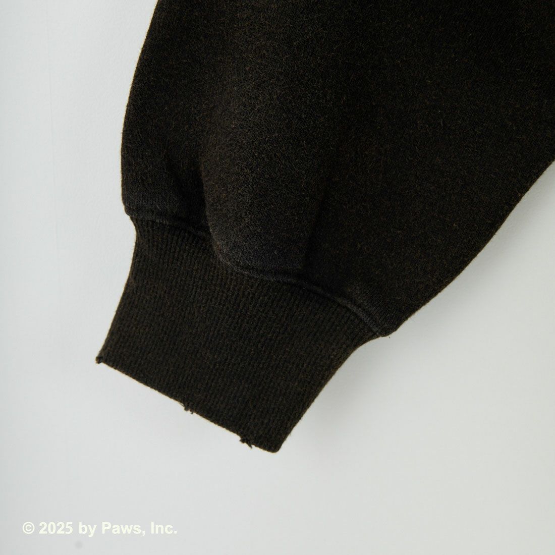 Jeans Factory Clothes [ジーンズファクトリークローズ] キャラダメージスウェット / GARFIELD [JFC-254-093] GARFIELD