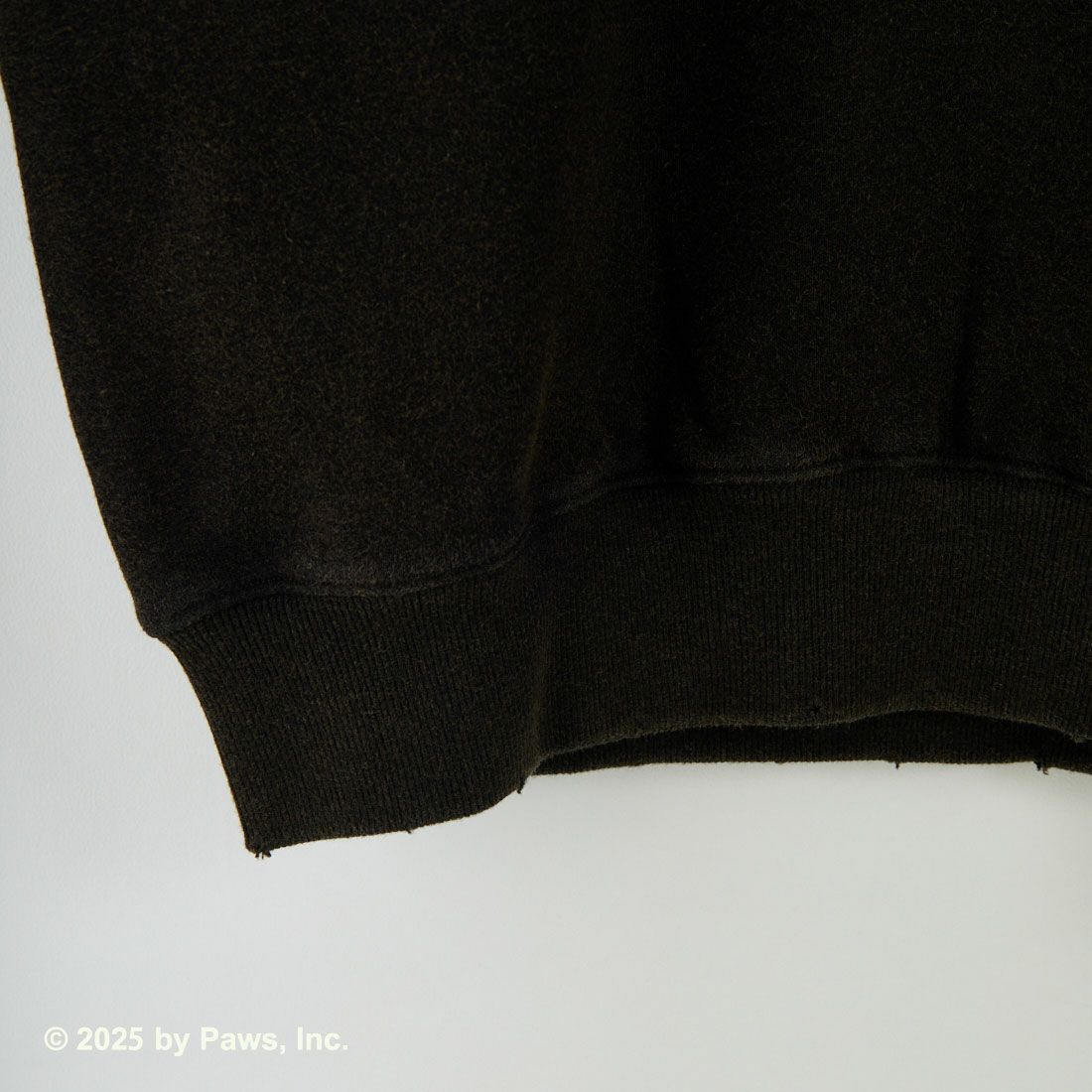 Jeans Factory Clothes [ジーンズファクトリークローズ] キャラダメージスウェット / GARFIELD [JFC-254-093] GARFIELD