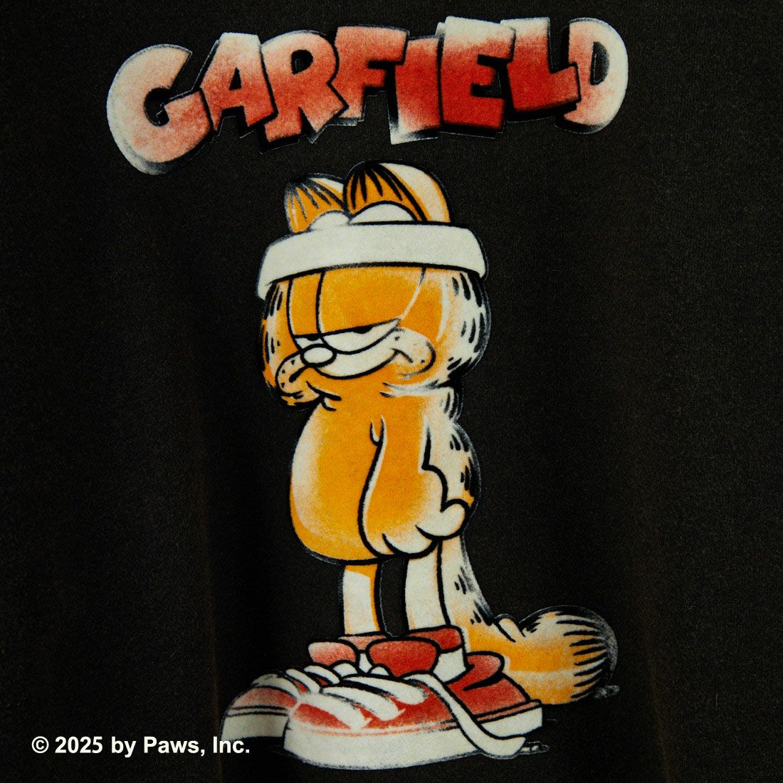 Jeans Factory Clothes [ジーンズファクトリークローズ] キャラダメージスウェット / GARFIELD [JFC-254-093] GARFIELD