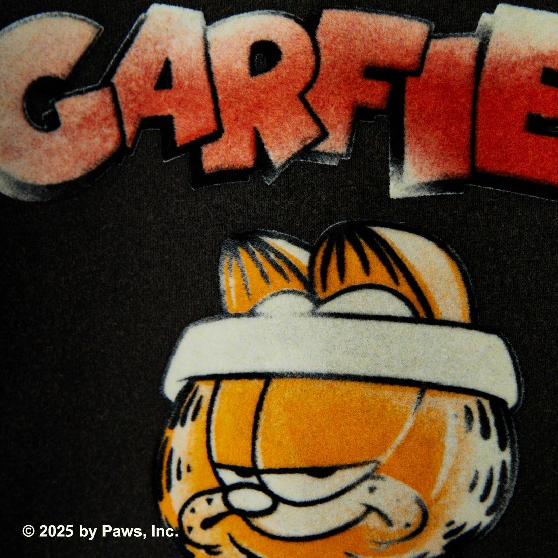 Jeans Factory Clothes [ジーンズファクトリークローズ] キャラダメージスウェット / GARFIELD [JFC-254-093] GARFIELD