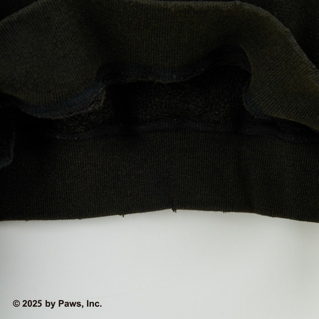 Jeans Factory Clothes [ジーンズファクトリークローズ] キャラダメージスウェット / GARFIELD [JFC-254-093] GARFIELD