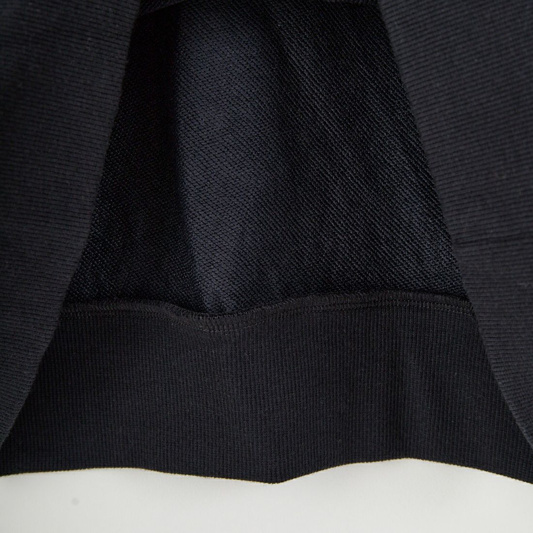 Ben Lenovitz [ベン レノビッツ] 別注 ドッグバックプリントスウェット [BL25F-002IN-JF] BLACK