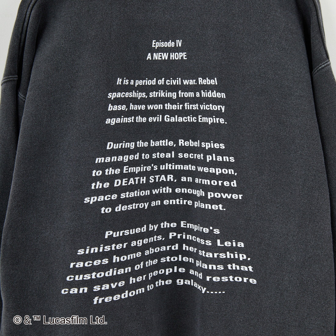 GOOD ROCK SPEED [グッドロックスピード] 別注 / STAR WARS / プリントスウェット [INTN-057-JF] CHARCOAL