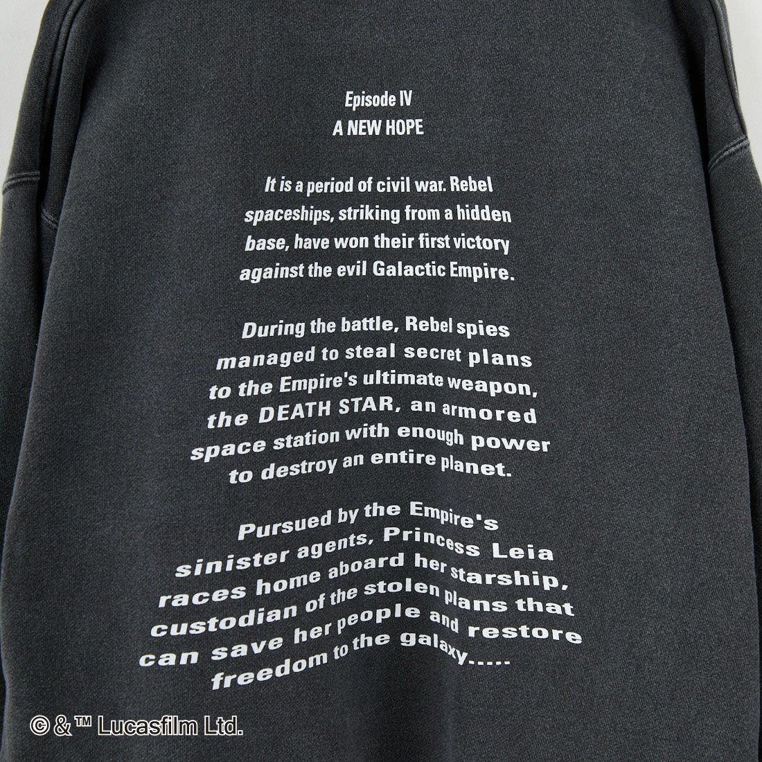 GOOD ROCK SPEED [グッドロックスピード] 別注 / STAR WARS / プリントスウェット [INTN-057-JF] CHARCOAL