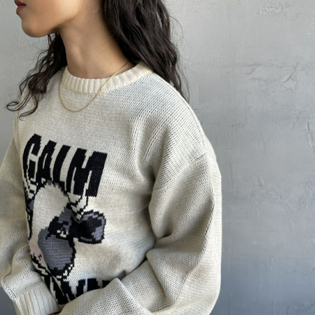 THE FOX [ザフォックス] 別注 アニマル柄クルーネックジャガードニット [JFL25AW-09-JF] NATURAL &&モデル身長：162cm 着用サイズ：S&&