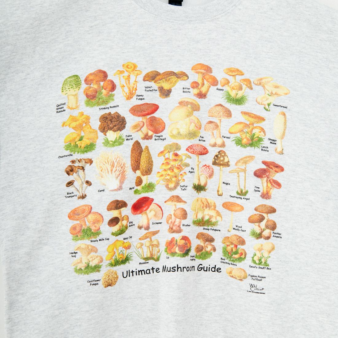 Atalas Screen Printing [アトラス スクリーン プリンティング] アルティメットマッシュルームガイドスウェット [MUSHROOM-GIDE] ASH