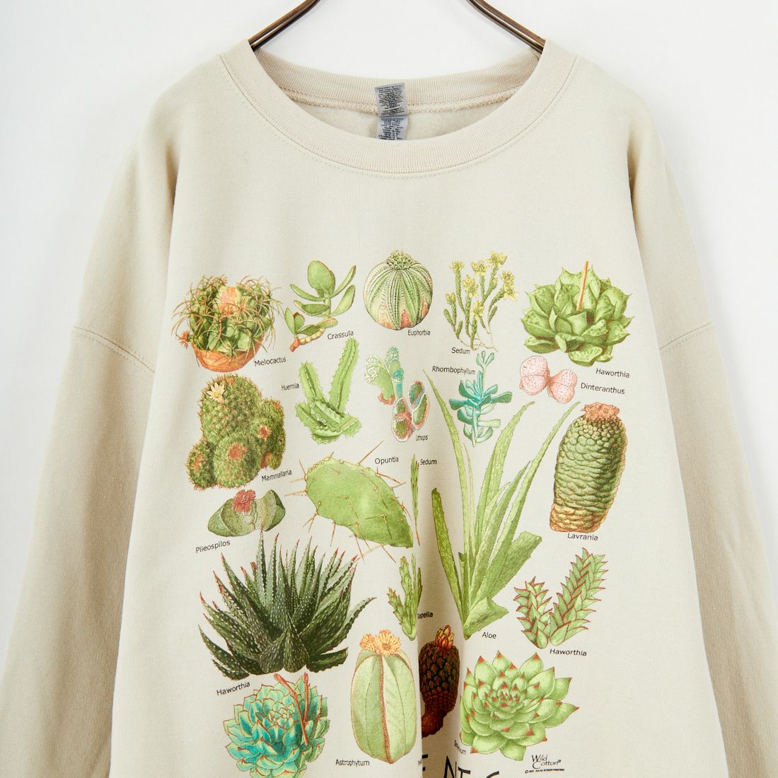 Atalas Screen Printing [アトラス スクリーン プリンティング] サキュレントプリントスウェット [SUCCULENTS] SAND