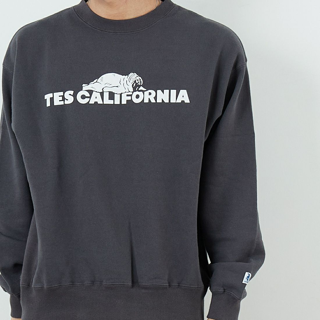 The Endless Summer [エンドレスサマー] TES SAME オールドクルーネックスウェット [FH-25774321] 02 CHARCOA &&モデル身長：179cm 着用サイズ：M&&