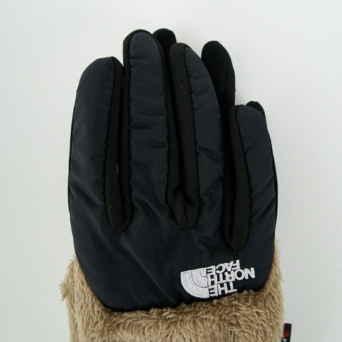 THE NORTH FACE [ザ ノースフェイス] デナリイーチップグローブ [NN62522] MR