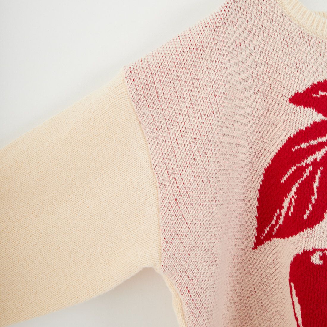 Noir Fabrik [ヌワールファブリック] アソートジャガードニットプルオーバー [NF25131043] 22 BEIGE