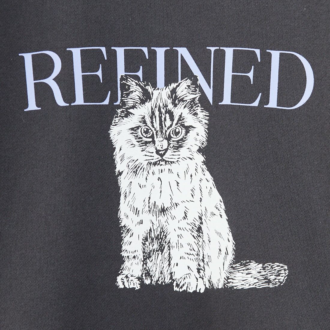 SCREEN STARS [スクリーンスターズ] 別注 アニマルプリント オーバーサイズスウェット [2523-IN2-JF] SUMIKURO