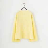 ﾗｲﾄｲｴﾛｰ