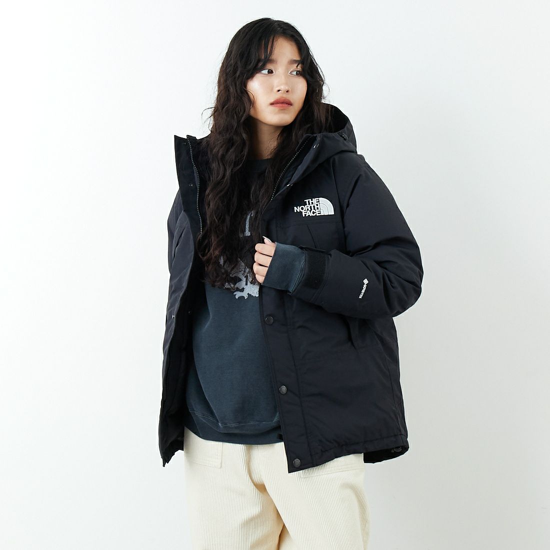 THE NORTH FACE [ザ ノースフェイス] マウンテンダウンジャケット