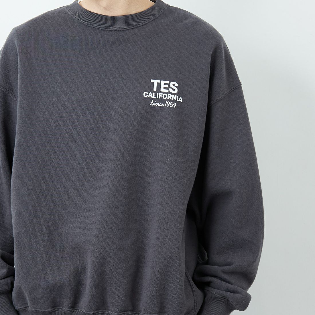 The Endless Summer [エンドレスサマー] 別注 BUHIダック バックプリントスウェット [FH-25774501-JF] CHARCOAL &&モデル身長：168cm 着用サイズ：L&&