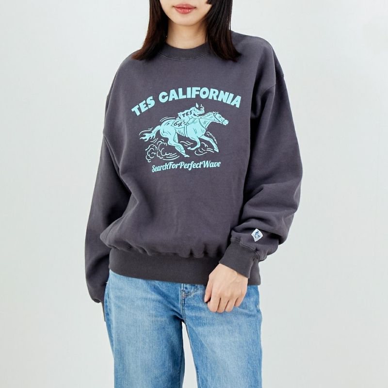 完全生産限定盤 エンドレスサマー 40th アニバーサリーBOX The Endless Summer [エンドレスサマー] 2026 ホースライドフロッキー