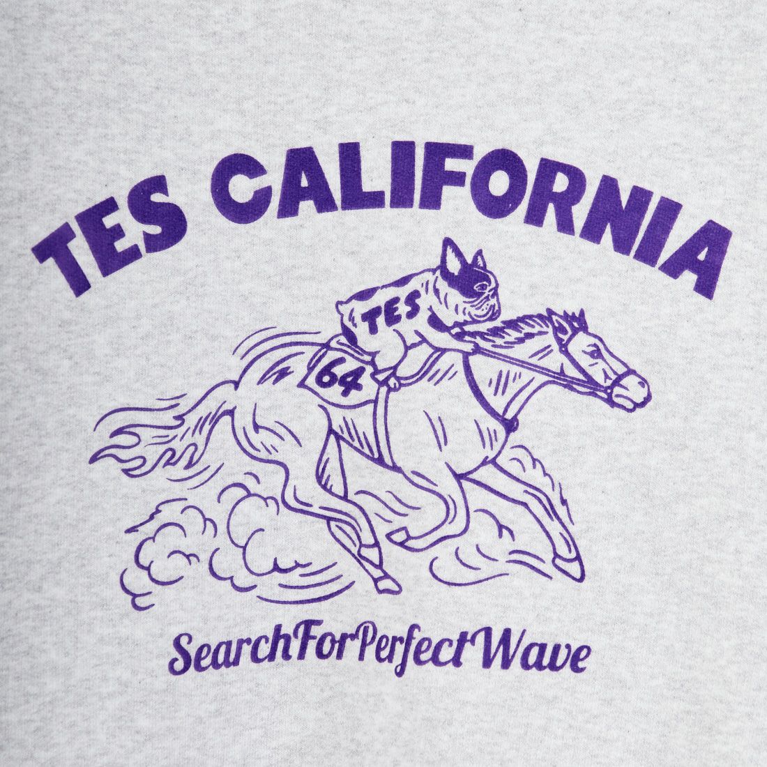 The Endless Summer [エンドレスサマー] 2026 ホースライドフロッキークルーネックスウェット [FH-26374302] 03 MIX GRY