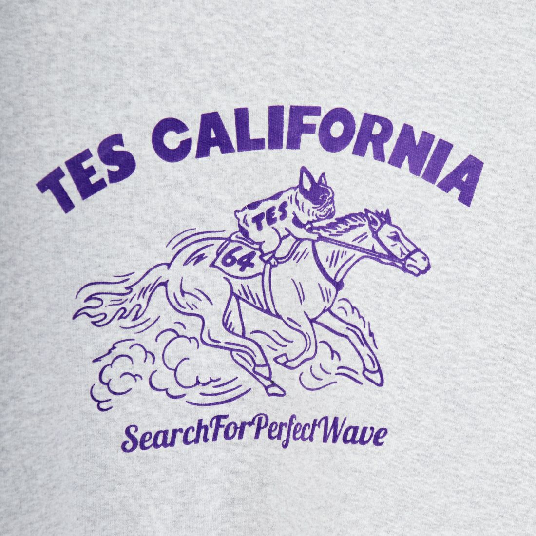 The Endless Summer [エンドレスサマー] 2026 ホースライドフロッキークルーネックスウェット [FH-26374302] 03 MIX GRY