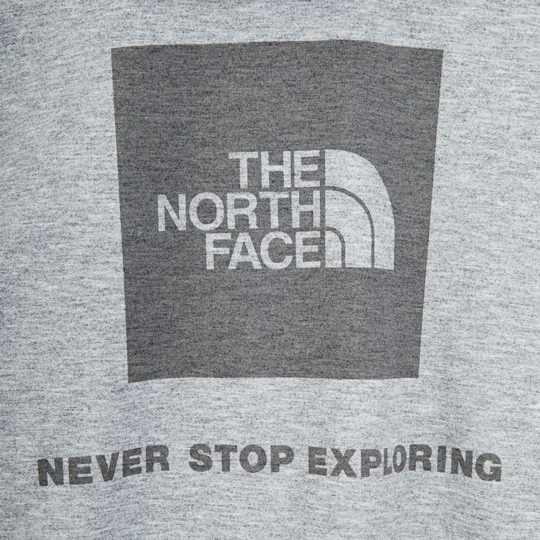 THE NORTH FACE [ザ ノースフェイス] バックスクエアロゴフーディ [NT62533] Z